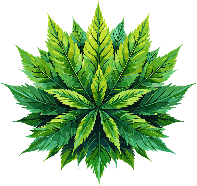 De wonderlijke werking van cbd zalf: een diepgaande verkenning